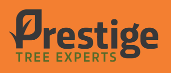 Prestige Tree Experts Logo